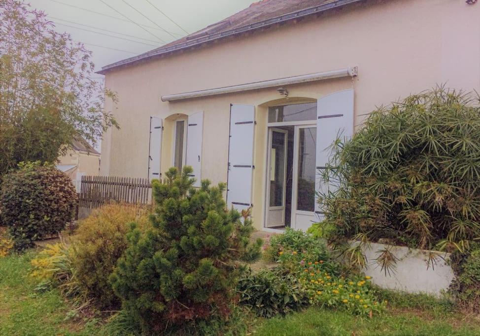Un Gite Au Coeur Du Vignoble Chalonnes-sur-Loire Exterior foto